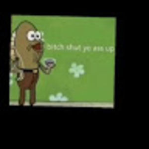 Meet your Posher, Gamergurl12